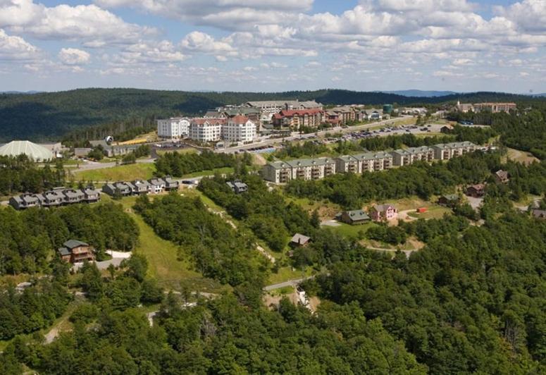 Allegheny Springs Snowshoe Bagian luar foto