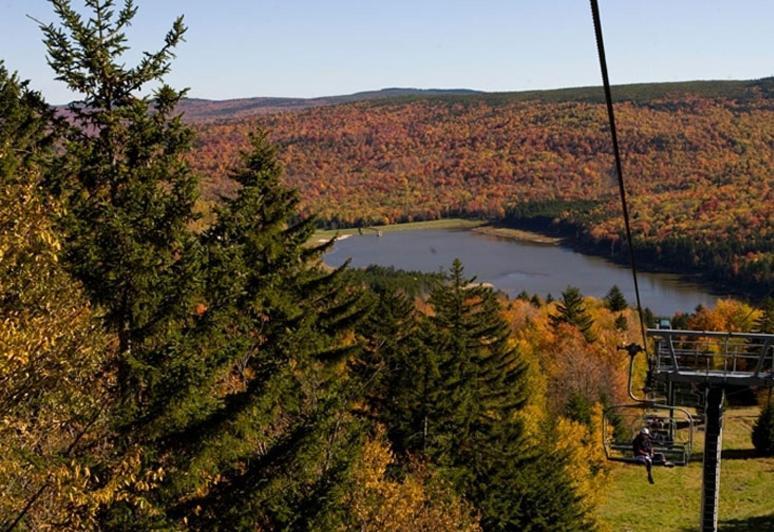Allegheny Springs Snowshoe Bagian luar foto