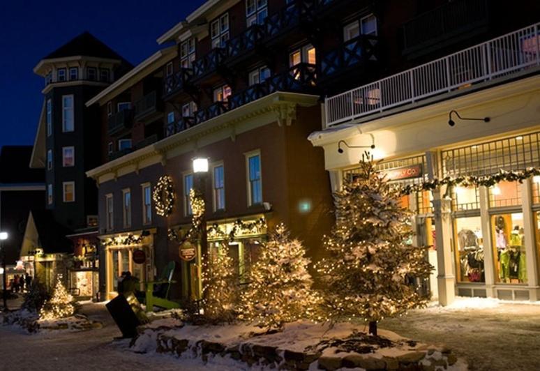 Allegheny Springs Snowshoe Bagian luar foto
