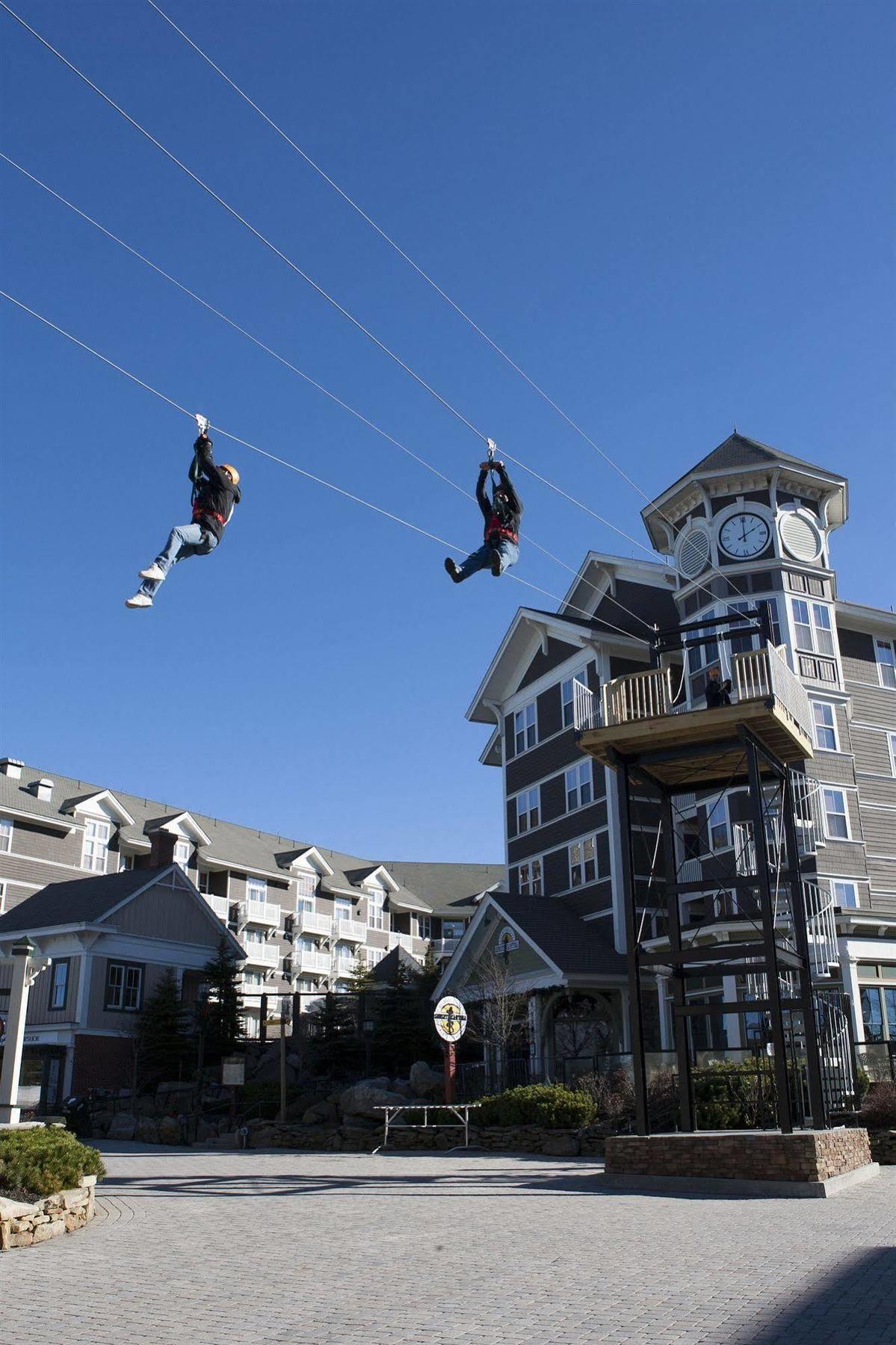 Allegheny Springs Snowshoe Bagian luar foto