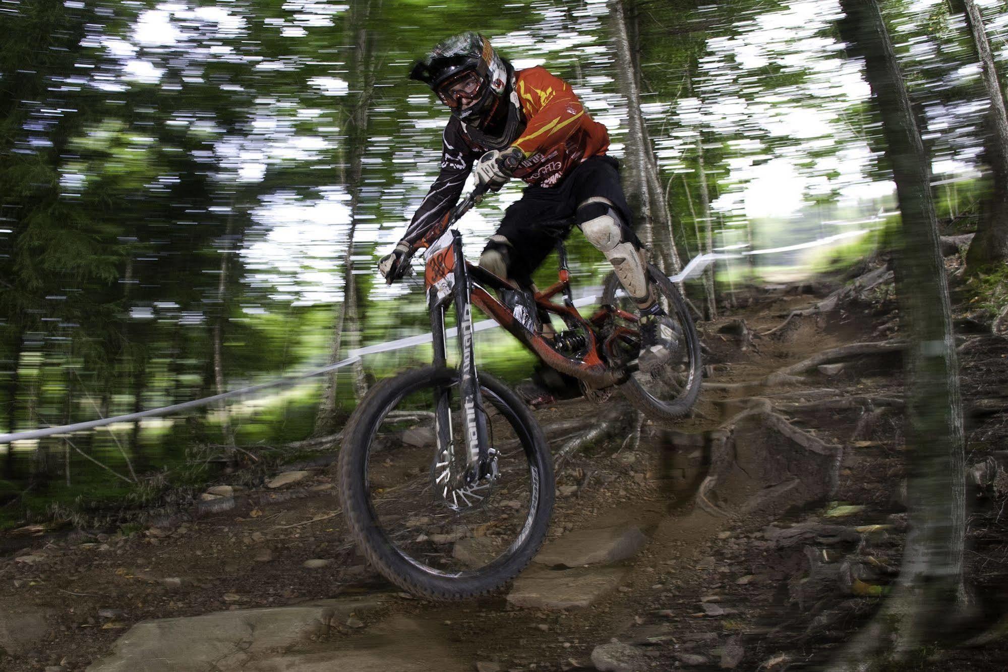 Allegheny Springs Snowshoe Bagian luar foto