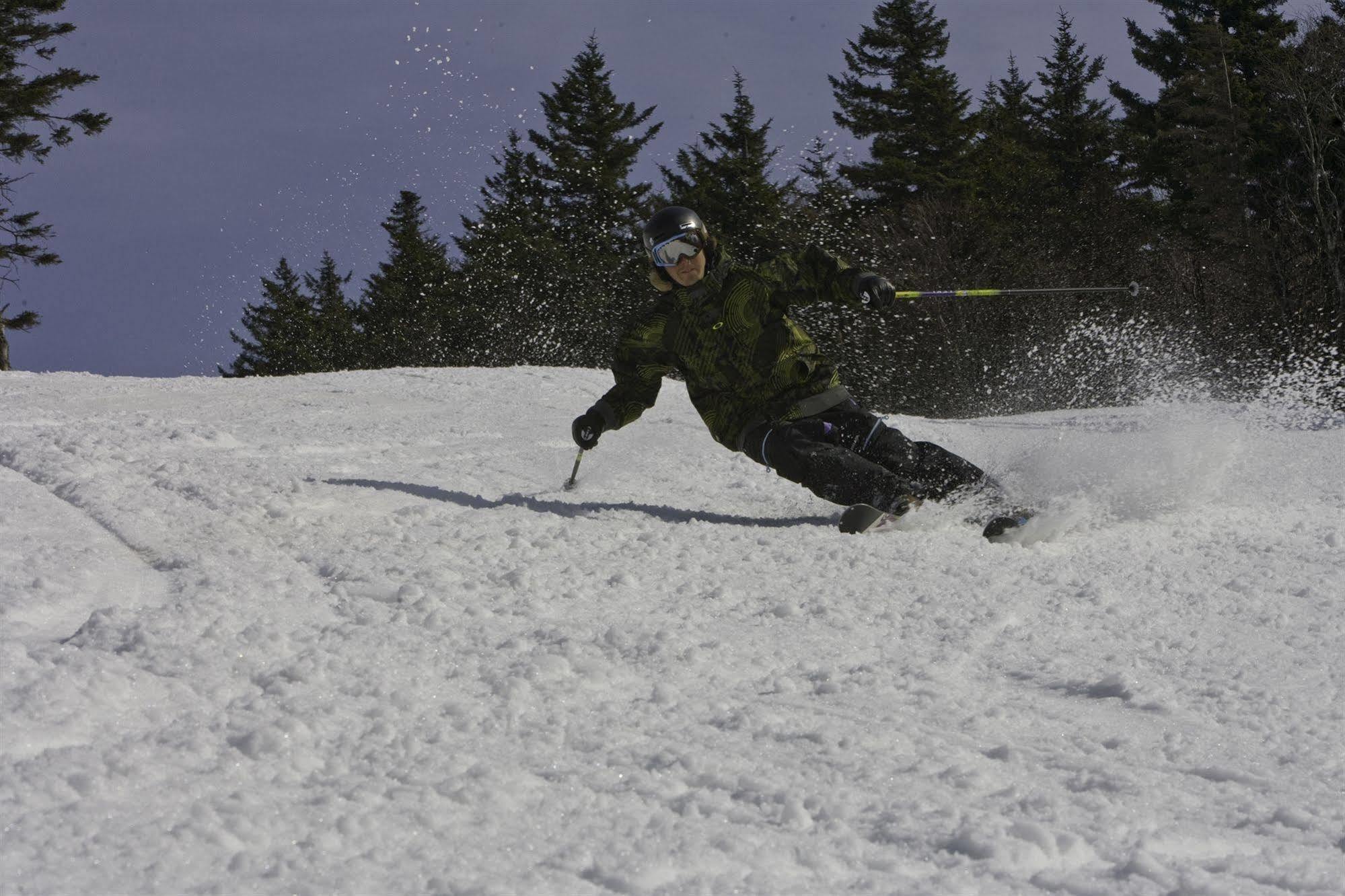 Allegheny Springs Snowshoe Bagian luar foto