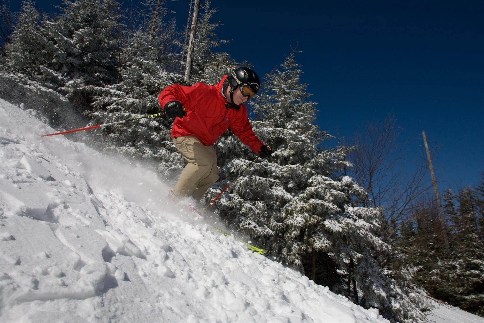 Allegheny Springs Snowshoe Bagian luar foto