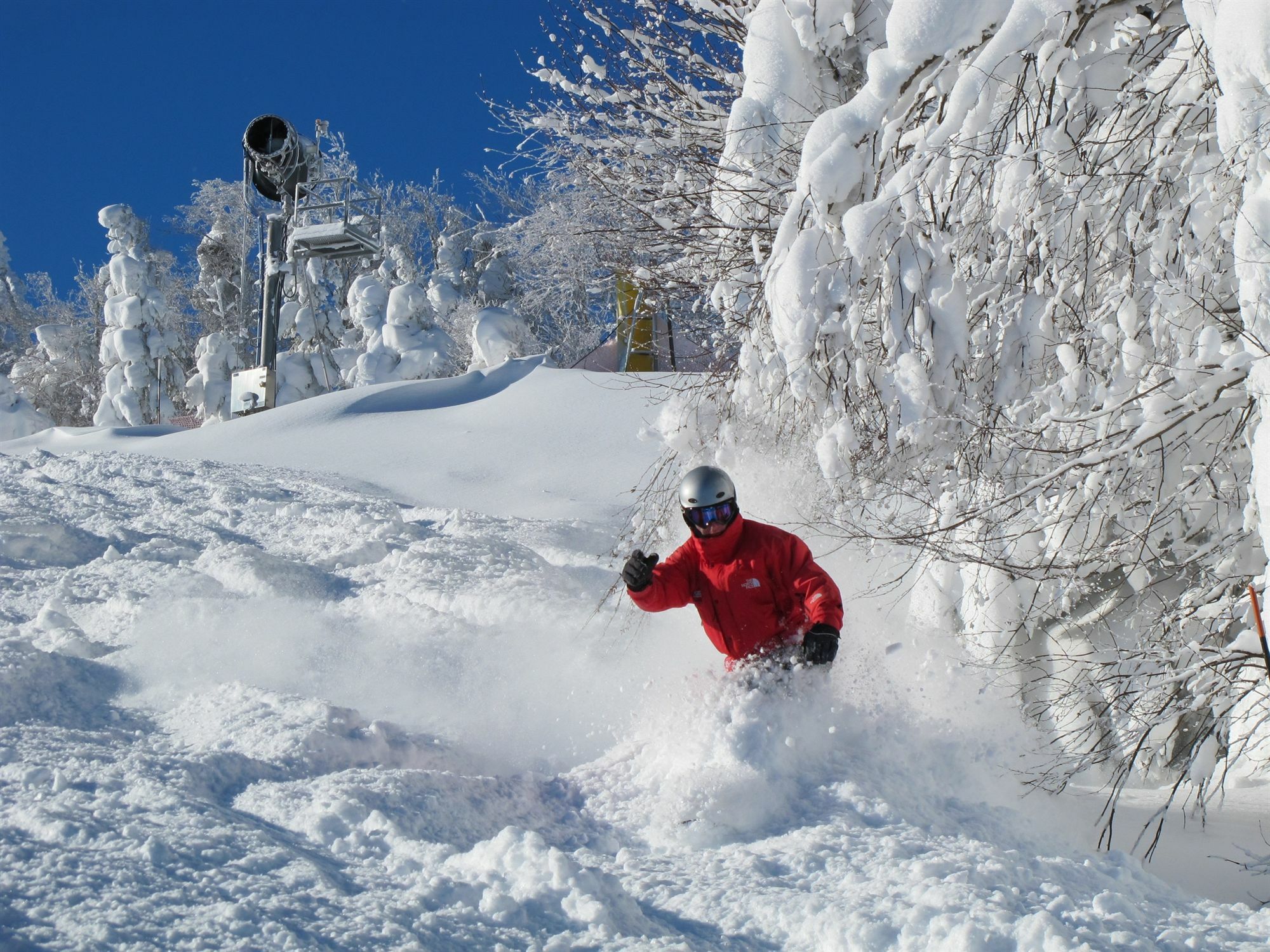 Allegheny Springs Snowshoe Bagian luar foto