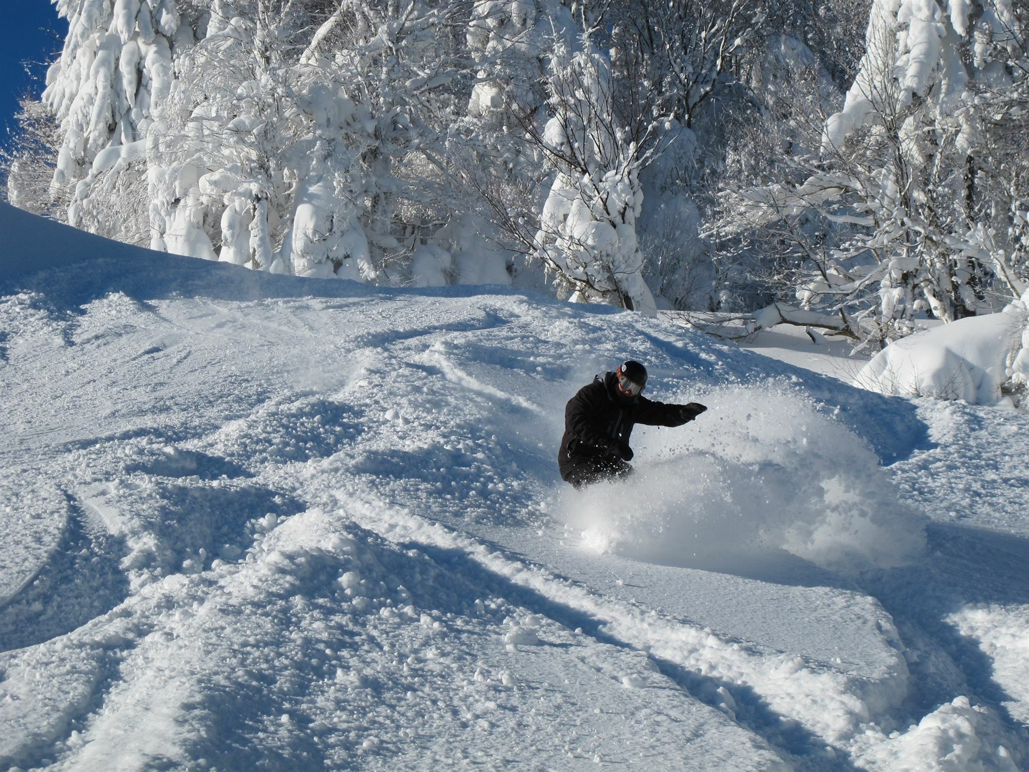 Allegheny Springs Snowshoe Bagian luar foto